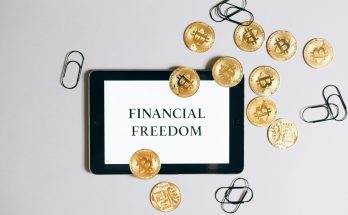 Crypto Wallets: